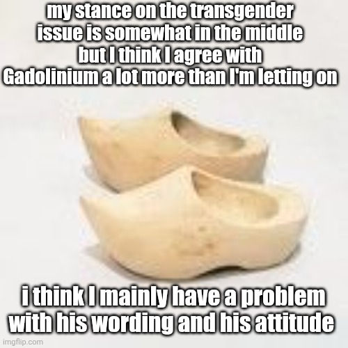 bullshit opinion nobody cares about: | my stance on the transgender issue is somewhat in the middle but I think I agree with Gadolinium a lot more than I'm letting on; i think I mainly have a problem with his wording and his attitude | image tagged in wooden shoes | made w/ Imgflip meme maker