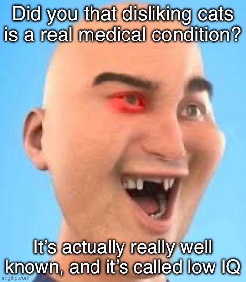 out of context zack.d.films screenshot | Did you that disliking cats is a real medical condition? It’s actually really well known, and it’s called low IQ | image tagged in out of context zack d films screenshot | made w/ Imgflip meme maker