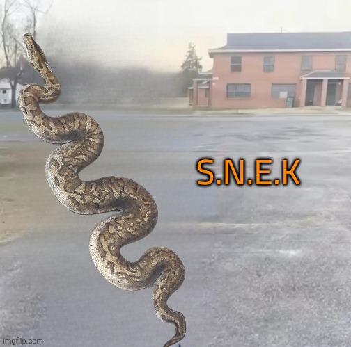 blank sybau maker | S.N.E.K | image tagged in blank sybau maker | made w/ Imgflip meme maker