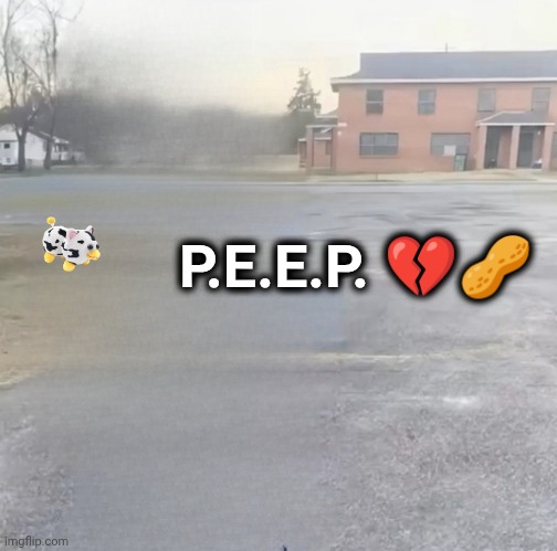 blank sybau maker | P.E.E.P. 💔🥜 | image tagged in blank sybau maker | made w/ Imgflip meme maker