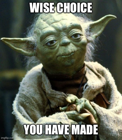 Star Wars Yoda | WISE CHOICE; YOU HAVE MADE | image tagged in memes,star wars yoda | made w/ Imgflip meme maker
