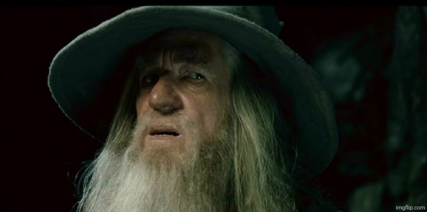 CONFUSED GANDALF | image tagged in confused gandalf | made w/ Imgflip meme maker