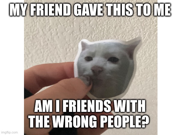 Uhhhh . . . | MY FRIEND GAVE THIS TO ME; AM I FRIENDS WITH THE WRONG PEOPLE? | image tagged in friends,gifts | made w/ Imgflip meme maker