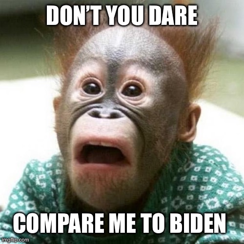DON’T YOU DARE COMPARE ME TO BIDEN | image tagged in shocked monkey | made w/ Imgflip meme maker