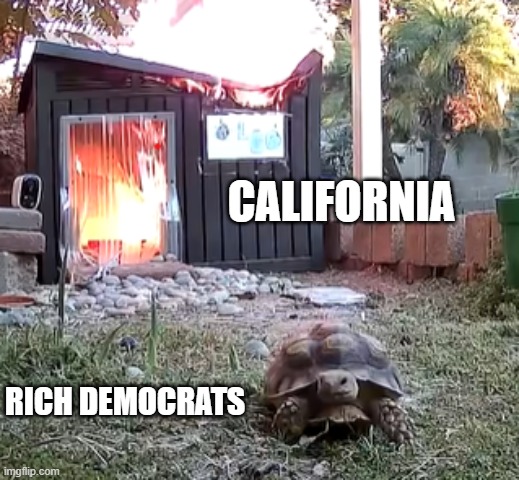 Democrats Ruin California and then Leave | CALIFORNIA; RICH DEMOCRATS | image tagged in turtle starts fire and runs | made w/ Imgflip meme maker