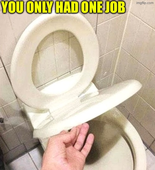 How is this even possible unless you’re blind? | YOU ONLY HAD ONE JOB | image tagged in you had one job,task failed successfully,toilets,duhhh dumbass,do you are have stupid,human stupidity | made w/ Imgflip meme maker