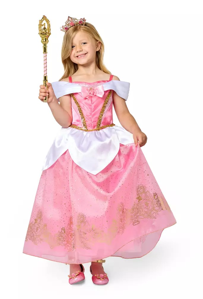 Aurora Costume for Kids – Sleeping Beauty Blank Meme Template