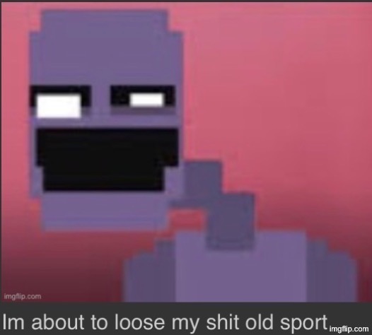 I'm about to loose my shit | image tagged in i'm about to loose my shit | made w/ Imgflip meme maker