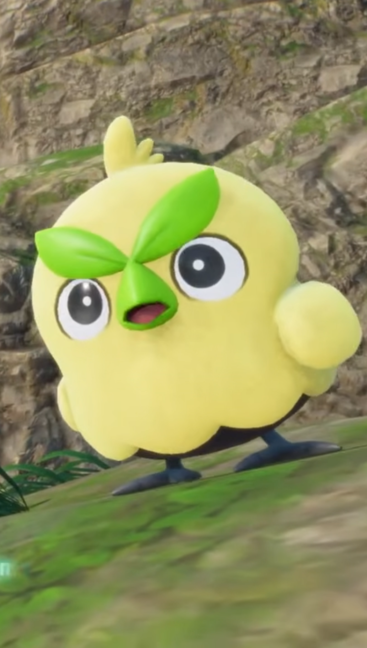 Browt stare Blank Meme Template