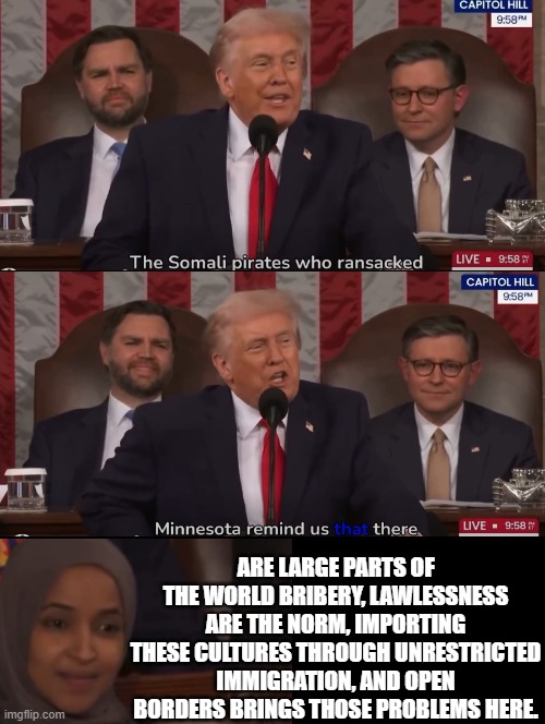 Vance smiles knowing the truth, Omar smiles knowing that Trump knows the truth! Are you stupid? or do you know the truth? | ARE LARGE PARTS OF THE WORLD BRIBERY, LAWLESSNESS ARE THE NORM, IMPORTING THESE CULTURES THROUGH UNRESTRICTED IMMIGRATION, AND OPEN BORDERS BRINGS THOSE PROBLEMS HERE. | image tagged in sam elliott special kind of stupid | made w/ Imgflip meme maker