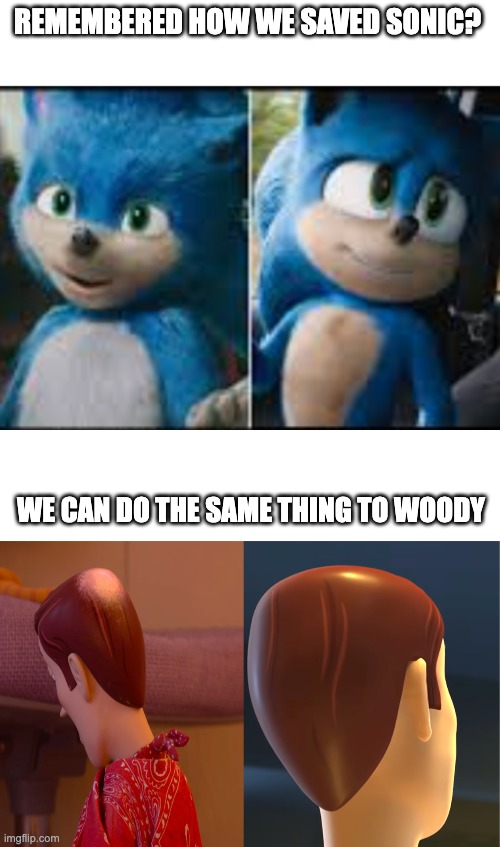 save toy story 5! | REMEMBERED HOW WE SAVED SONIC? WE CAN DO THE SAME THING TO WOODY | image tagged in toy story | made w/ Imgflip meme maker