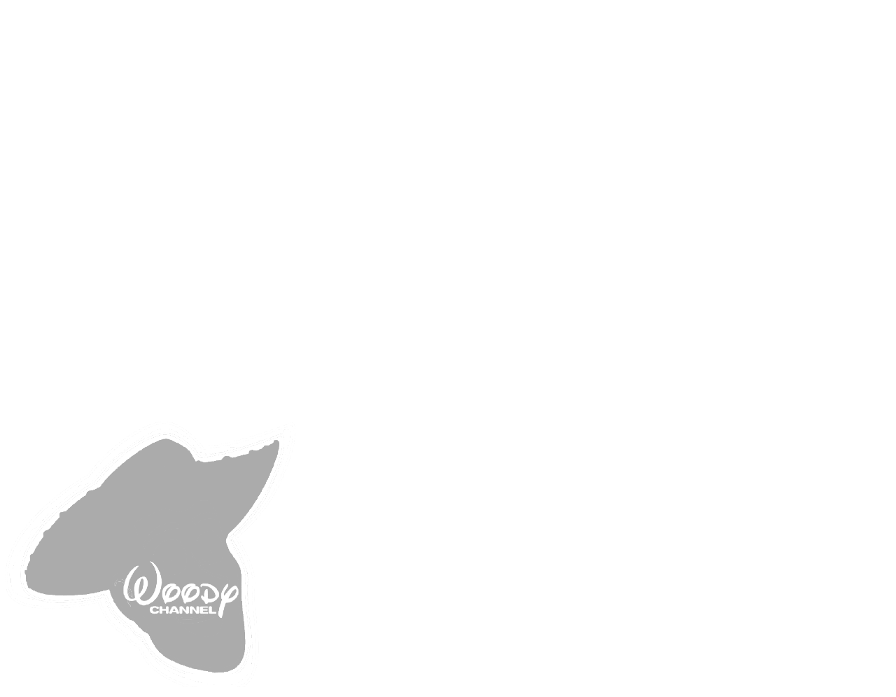 Woody Channel Screen Bug (2003-2011) Blank Meme Template