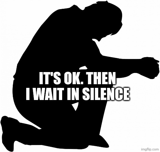 Kneeling | IT'S OK. THEN I WAIT IN SILENCE | image tagged in kneeling | made w/ Imgflip meme maker