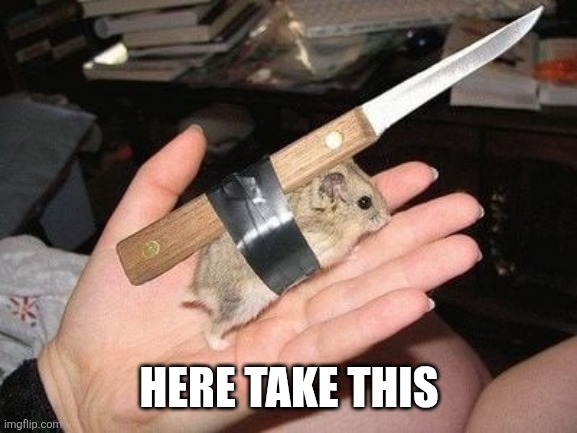 HERE TAKE THIS | made w/ Imgflip meme maker