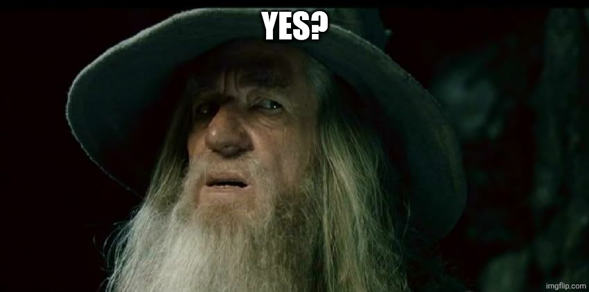 CONFUSED GANDALF | YES? | image tagged in confused gandalf | made w/ Imgflip meme maker