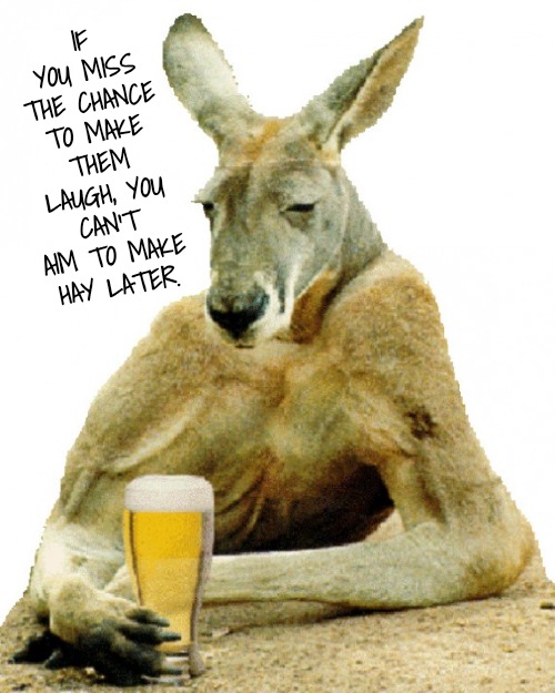 kangaroo in a bar | IF YOU MISS THE CHANCE TO MAKE THEM LAUGH, YOU CAN'T AIM TO MAKE HAY LATER. | image tagged in kangaroo in a bar | made w/ Imgflip meme maker