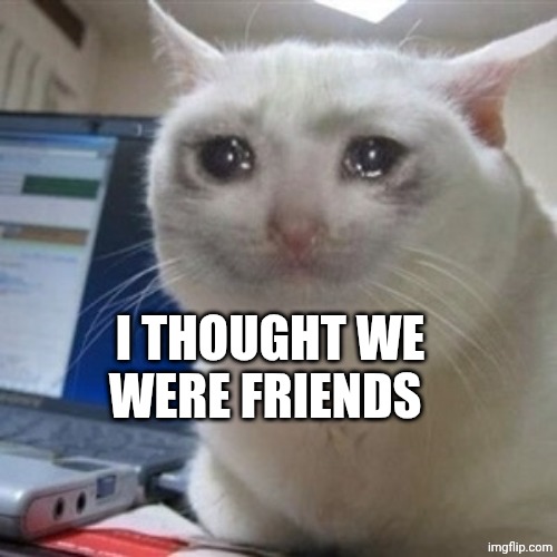Crying cat | I THOUGHT WE WERE FRIENDS | image tagged in crying cat | made w/ Imgflip meme maker