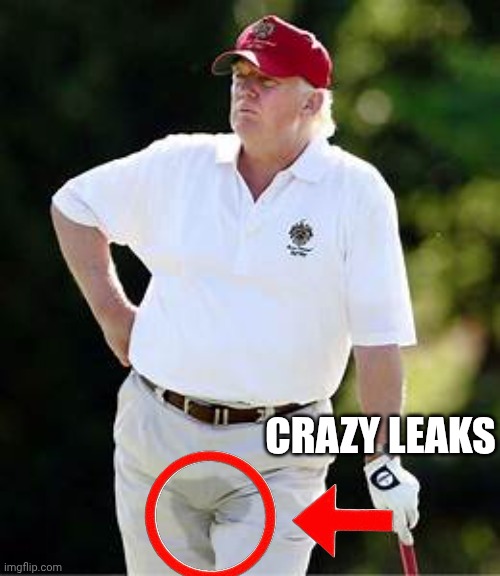 CRAZY LEAKS | made w/ Imgflip meme maker