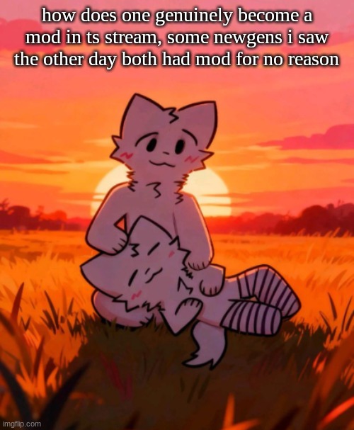 That0neguy announcement temp | how does one genuinely become a mod in ts stream, some newgens i saw the other day both had mod for no reason | image tagged in that0neguy announcement temp | made w/ Imgflip meme maker