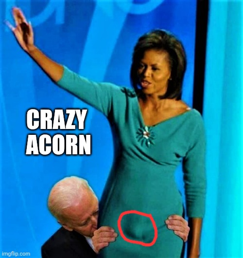 Biden sniffs Michelle Obama | CRAZY
 ACORN | image tagged in biden sniffs michelle obama | made w/ Imgflip meme maker