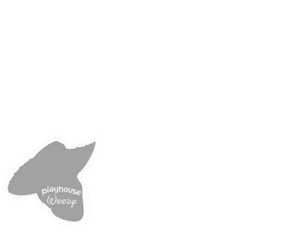 Playhouse Woody Screen Bug (2004-2012) Blank Meme Template