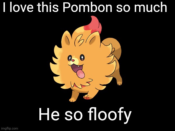 Pombon, my beloved | I love this Pombon so much; He so floofy | made w/ Imgflip meme maker