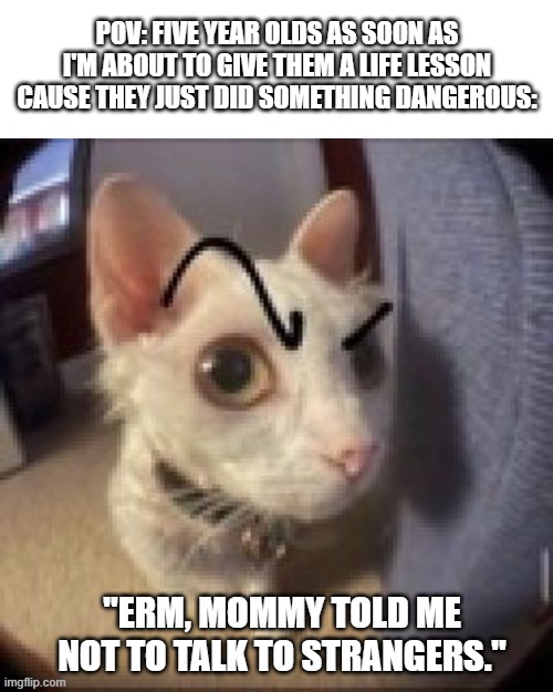 Side Eye Eyebrow Raise Cat | POV: FIVE YEAR OLDS AS SOON AS I'M ABOUT TO GIVE THEM A LIFE LESSON CAUSE THEY JUST DID SOMETHING DANGEROUS:; "ERM, MOMMY TOLD ME NOT TO TALK TO STRANGERS." | image tagged in side eye eyebrow raise cat,5yos,funny,memes,pov | made w/ Imgflip meme maker