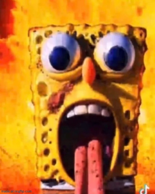 rotbob | image tagged in rotbob | made w/ Imgflip meme maker