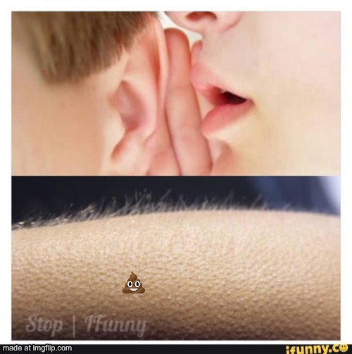 Hair stand up | image tagged in hair stand up | made w/ Imgflip meme maker