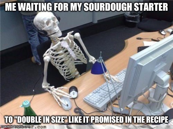 Waiting skeleton | ME WAITING FOR MY SOURDOUGH STARTER TO "DOUBLE IN SIZE" LIKE IT PROMISED IN THE RECIPE | image tagged in waiting skeleton | made w/ Imgflip meme maker