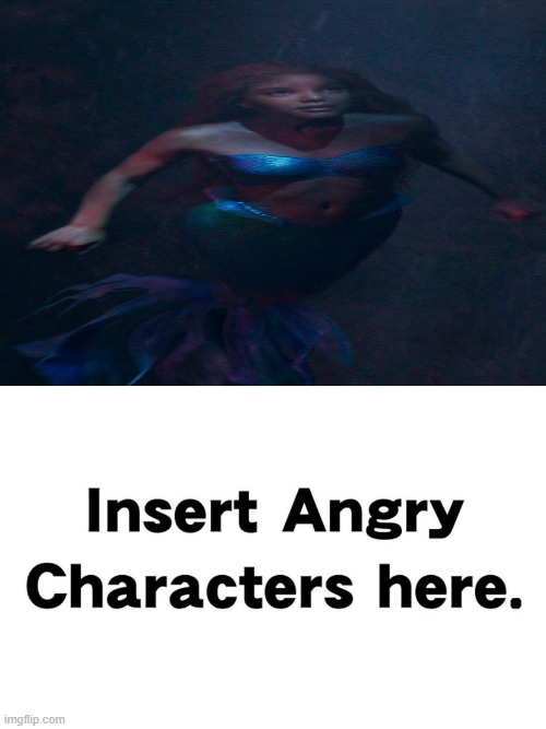 Who Hates Black Ariel ? Blank Meme Template