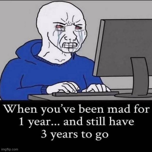 Stay mad | image tagged in memes,funny,political meme,politics,lol | made w/ Imgflip meme maker