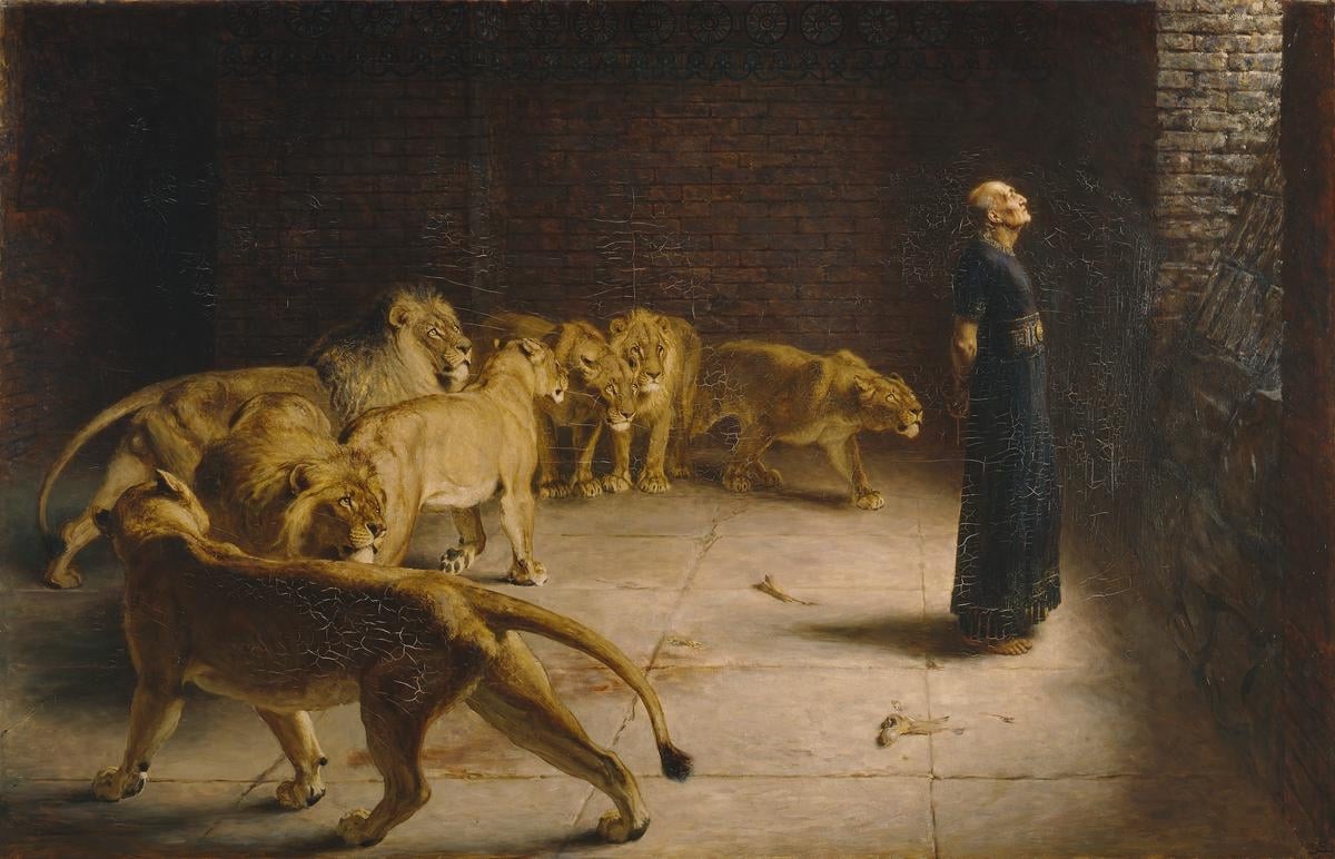 Man With Lions Blank Meme Template