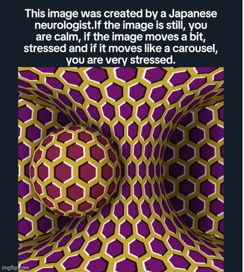 If you’re having a bad day, check this out! | image tagged in memes | made w/ Imgflip meme maker