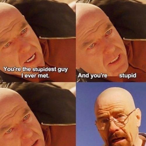 Breaking Bad and you're stupid Blank Meme Template