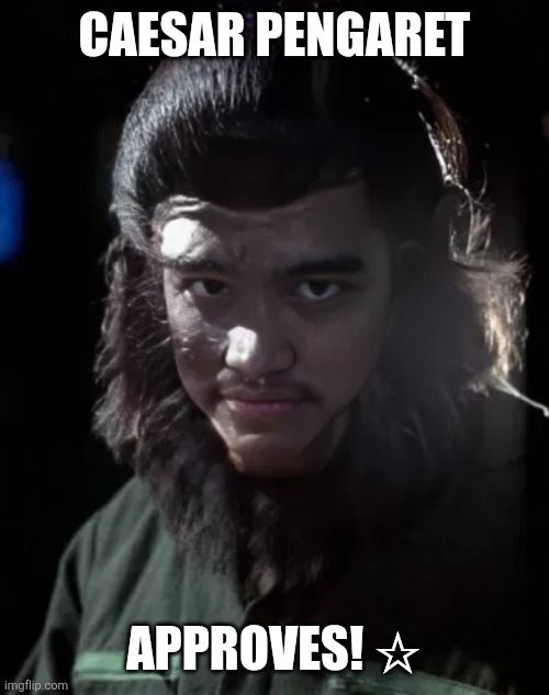 CAESAR PENGARET; APPROVES! ☆ | image tagged in memes,silly,apes | made w/ Imgflip meme maker