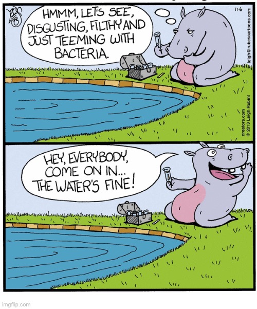 Rubes | image tagged in comics,rubes,hippopotamus,water test,bad water,everybody come on in | made w/ Imgflip meme maker
