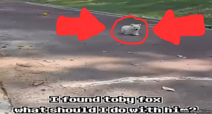 IT'S HIM!! | made w/ Imgflip meme maker