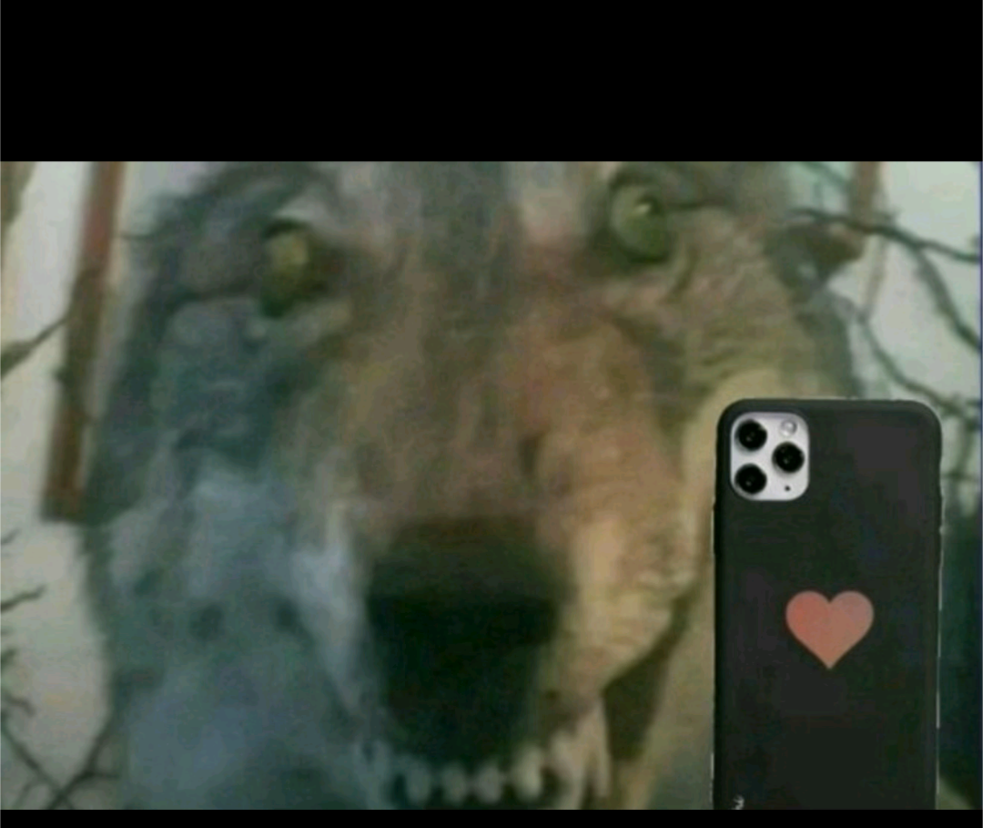 Cackling Wolf with Phone Blank Meme Template