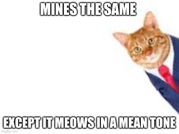 MINES THE SAME EXCEPT IT MEOWS IN A MEAN TONE | made w/ Imgflip meme maker