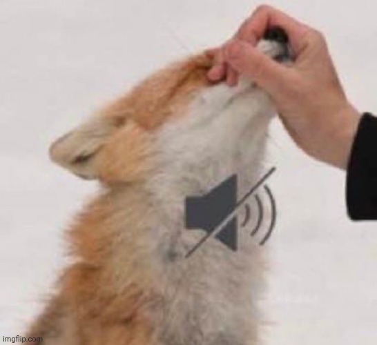 Mute | image tagged in mute | made w/ Imgflip meme maker