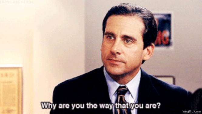 Why are you the way that you are | image tagged in why are you the way that you are | made w/ Imgflip meme maker