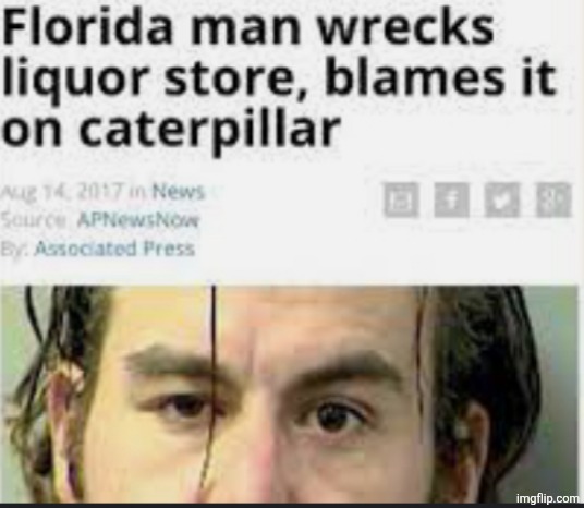 f l o r i d a  m a n | image tagged in f l o r i d a m a n | made w/ Imgflip meme maker