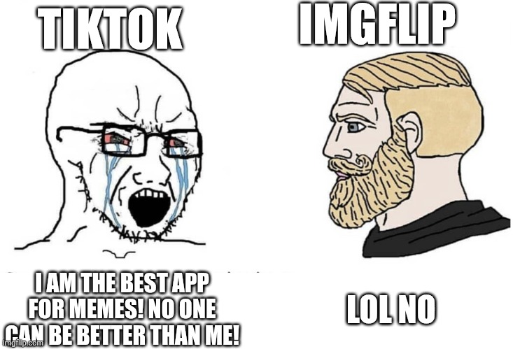 Soyboy Vs Yes Chad | I AM THE BEST APP FOR MEMES! NO ONE CAN BE BETTER THAN ME! LOL NO TIKTOK IMGFLIP | image tagged in soyboy vs yes chad | made w/ Imgflip meme maker