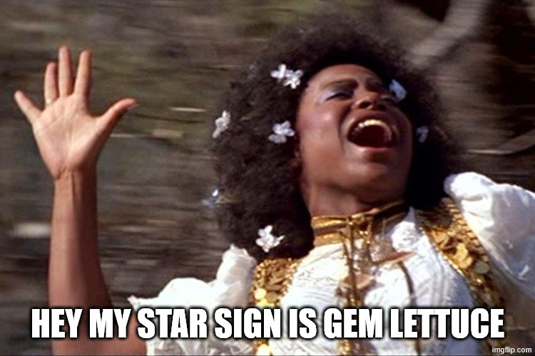 Aquarius/Hair opening scene | HEY MY STAR SIGN IS GEM LETTUCE | image tagged in aquarius/hair opening scene | made w/ Imgflip meme maker