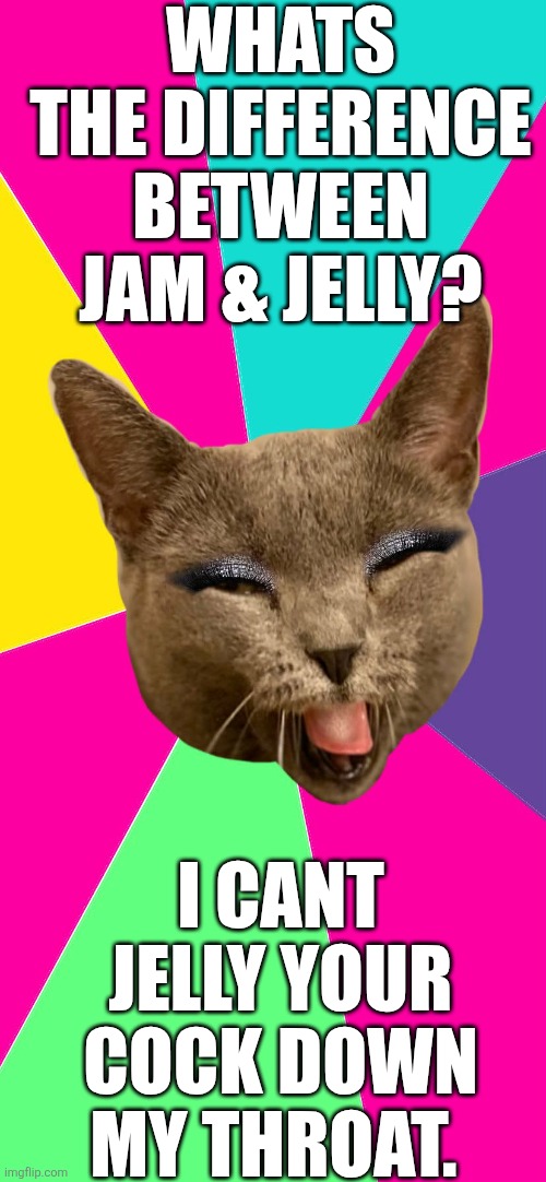 trashy cat | WHATS THE DIFFERENCE BETWEEN JAM & JELLY? I CANT JELLY YOUR COCK DOWN MY THROAT. | image tagged in trashy cat | made w/ Imgflip meme maker