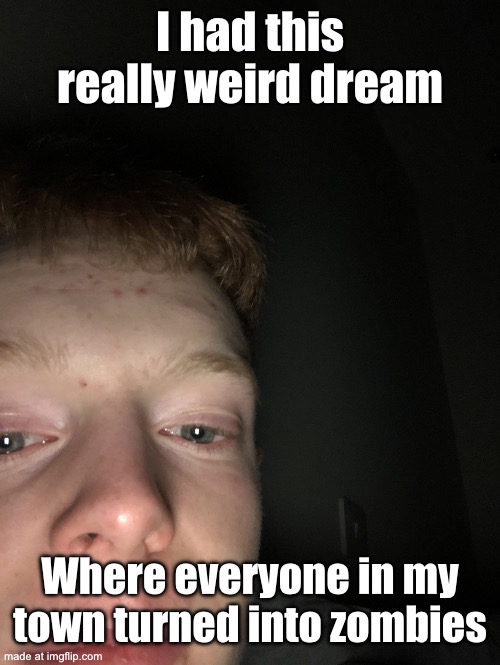 Random photo I accidentally took | I had this really weird dream; Where everyone in my town turned into zombies | image tagged in random photo i accidentally took | made w/ Imgflip meme maker