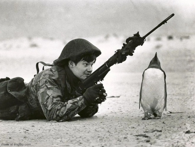 penguin standing to attention to Scottish soldier in the Falklands war | made w/ Imgflip meme maker