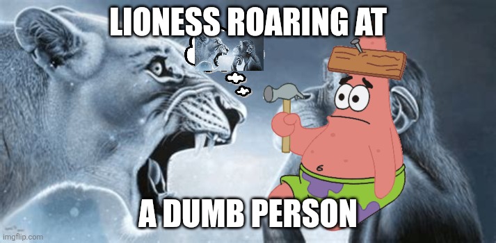 tiger yell at pondering monkey | LIONESS ROARING AT; A DUMB PERSON | image tagged in tiger yell at pondering monkey | made w/ Imgflip meme maker