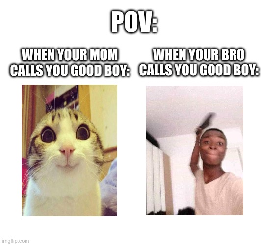 Whole different meaning | POV:; WHEN YOUR BRO CALLS YOU GOOD BOY:; WHEN YOUR MOM CALLS YOU GOOD BOY: | image tagged in pov,memes,funny,gifs,good boy,funny memes | made w/ Imgflip meme maker